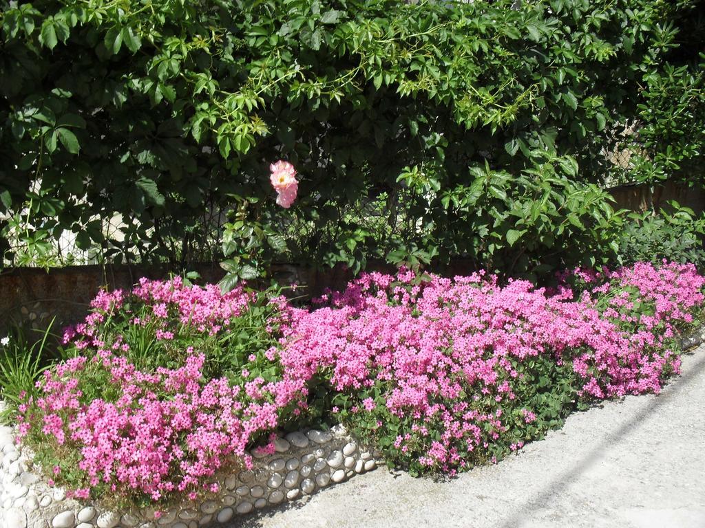 Apartments Desanka Lopar Εξωτερικό φωτογραφία